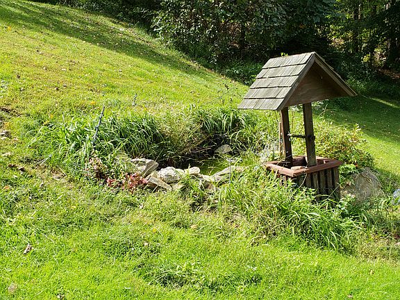 Front yard Pond/Well