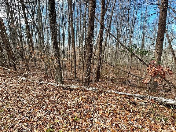 4th image of 53 Timber Line Dr