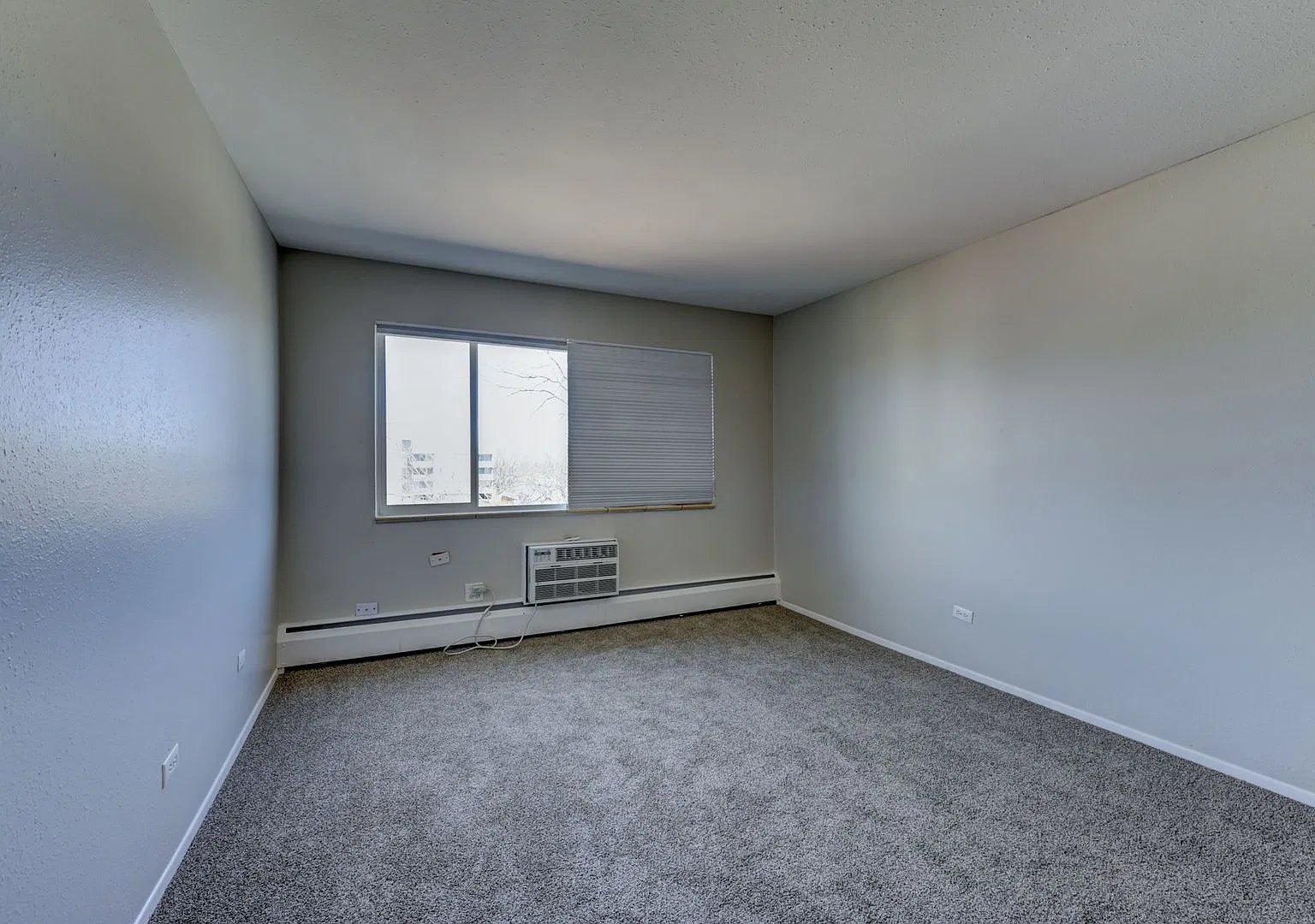 Fitz Apartments — Photo 3