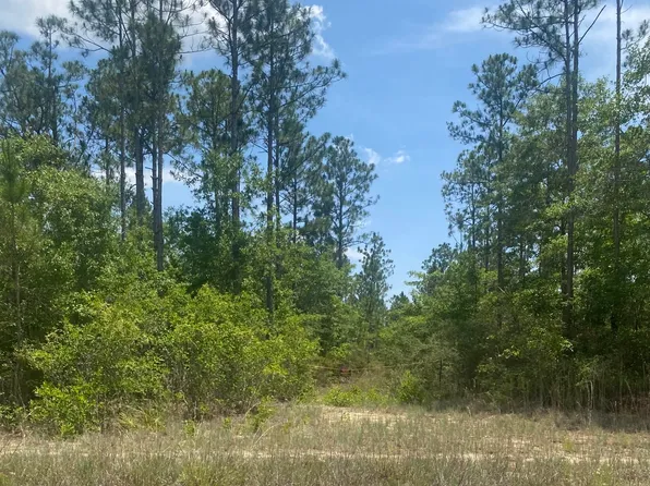Joe Dugger Rd, Freeport, FL 32439