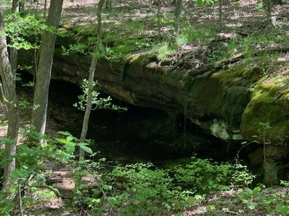 331 Timberwood Trce Lot 331, Monteagle, TN 37356