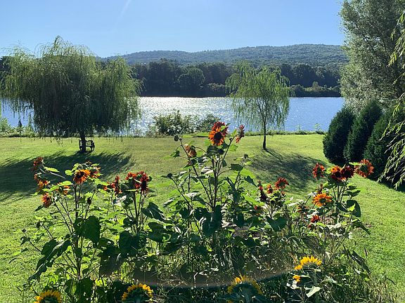 I loved planting sunflowers here, (You could too!)