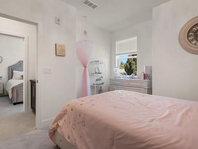 40689 Squill Cmn — Photo 15