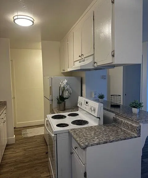 Modera — Photo 3