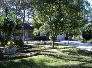 319 Skye Ct, Leesburg, FL 34788