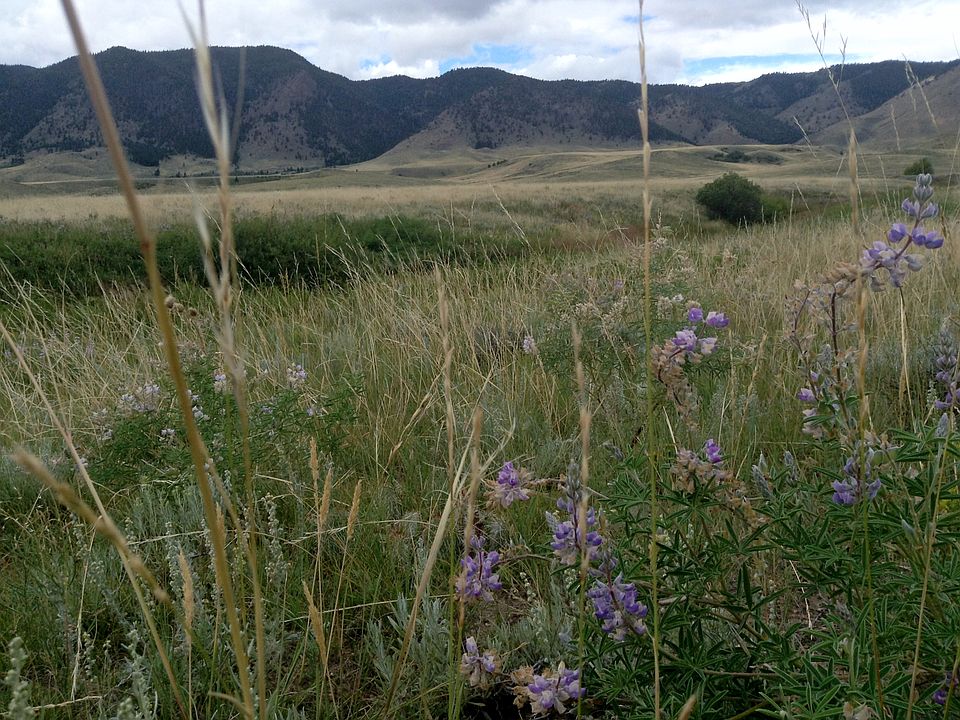 1st image of Wild Horse Ranch-149 Cowboy Way #149