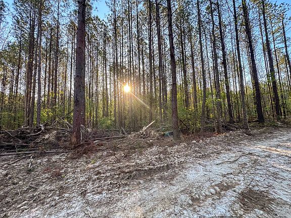 5th image of 0 Sand Hill Rd