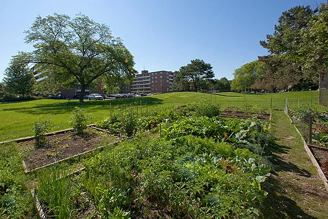 3 Leaside Dr — Photo 22