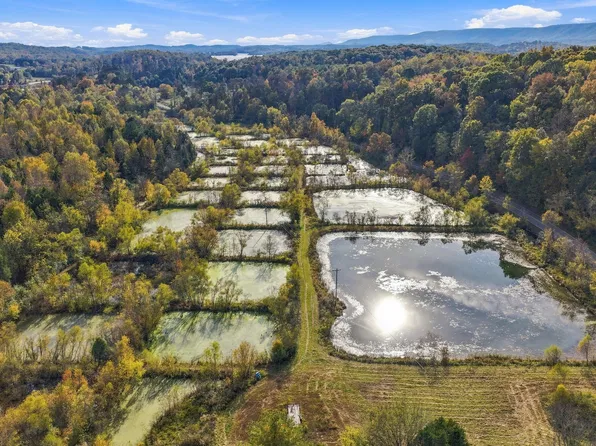 796 Muddy Creek Rd, Spring City, TN 37381