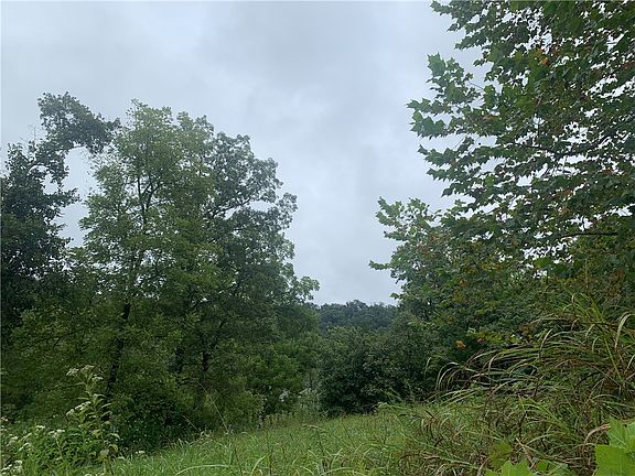 3rd image of 10635 Prairie Creek North Rd