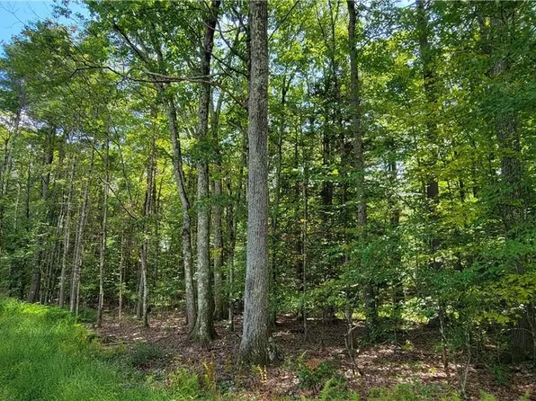 lot #21 Mohn Road, Cochecton, NY 12726