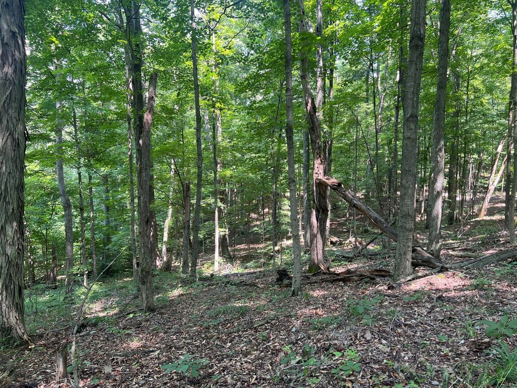 Real estate listing image