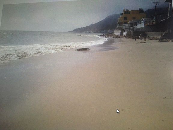 3rd image of 18928 Pacific Coast Hwy