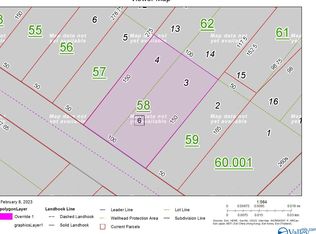 209 20th St NE, Fort Payne, AL 35967