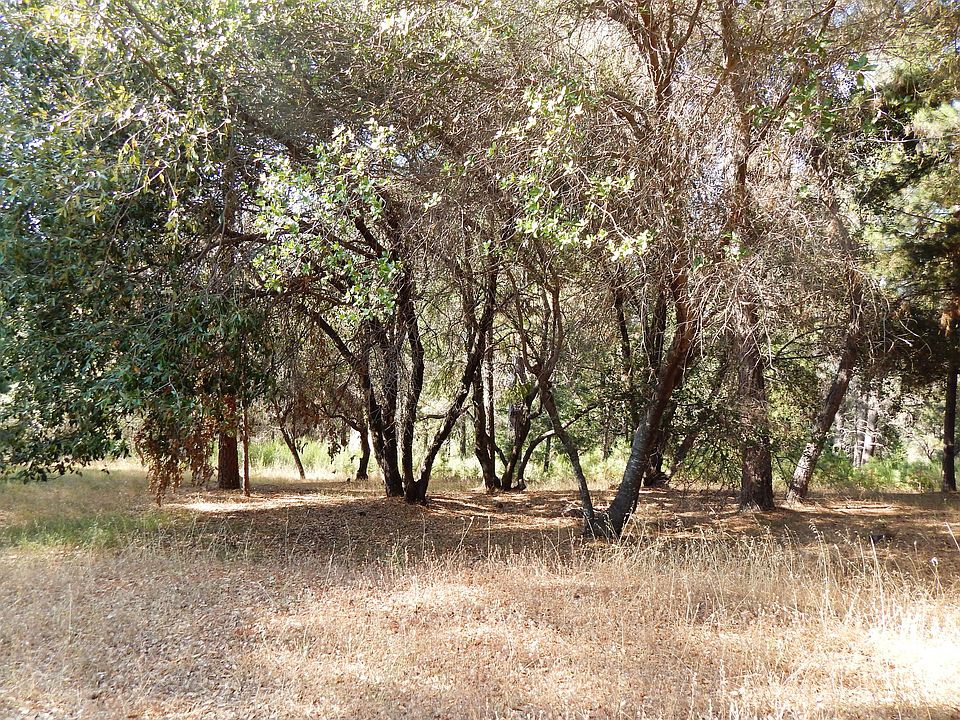2nd image of 1728 Cherokee Court