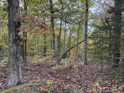 Russell Rd, Hardy, AR, 72542