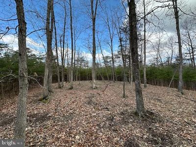 Middle Ridge Ests, Burlington, WV, 26710