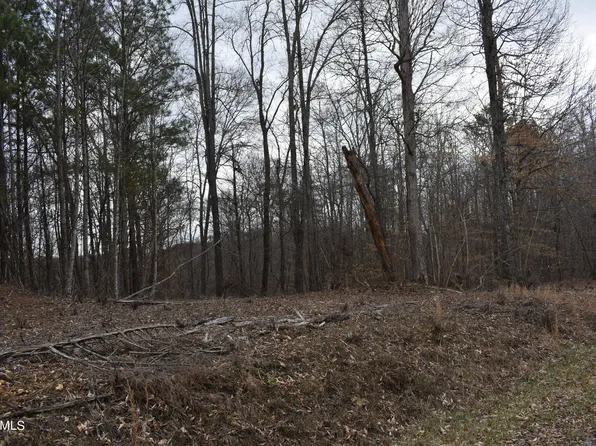 LOT 15 Jones Ridge Rd, Speedwell, TN 37870