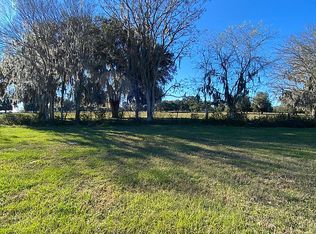 LOT 4 Highway 316, Reddick, FL 32686