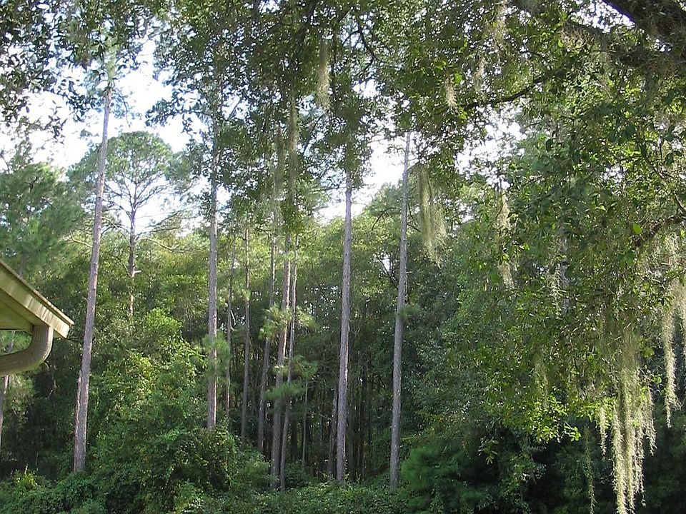 View from Back Porch