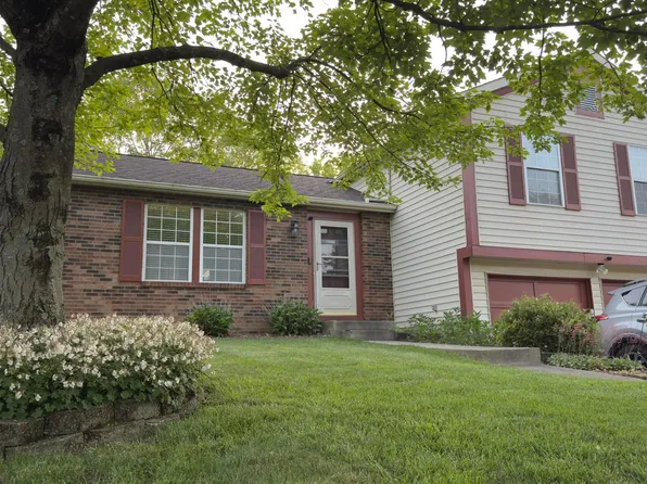 5109 Magnolia Blossom Blvd, Columbus, OH 43230