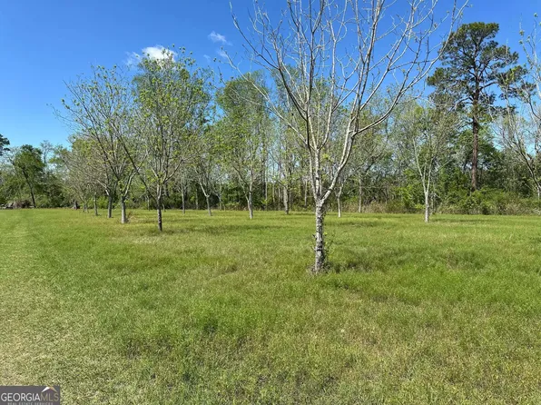 0 State Road 169, Glennville, GA 30427