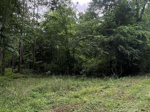 4th image of 1003 Shady Ln