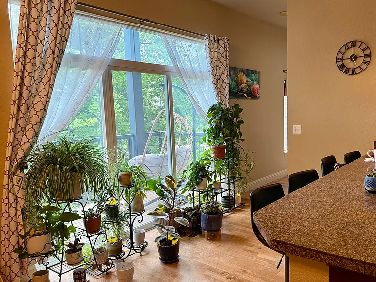 5401 S Park Terrace Ave #203C — Photo 3