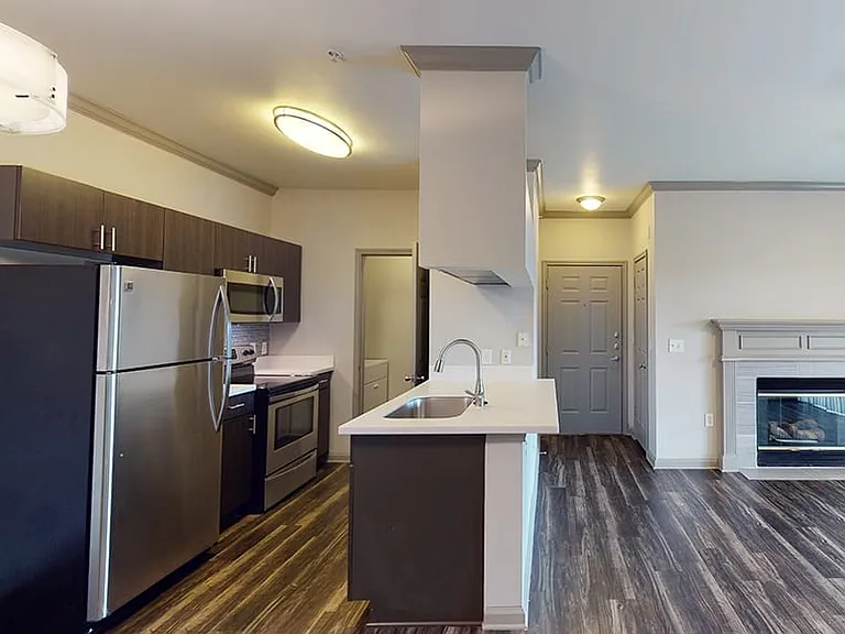 Apartment kitchen and living area with stainless steel appliances, dark hardwood floors, and a fire place.
