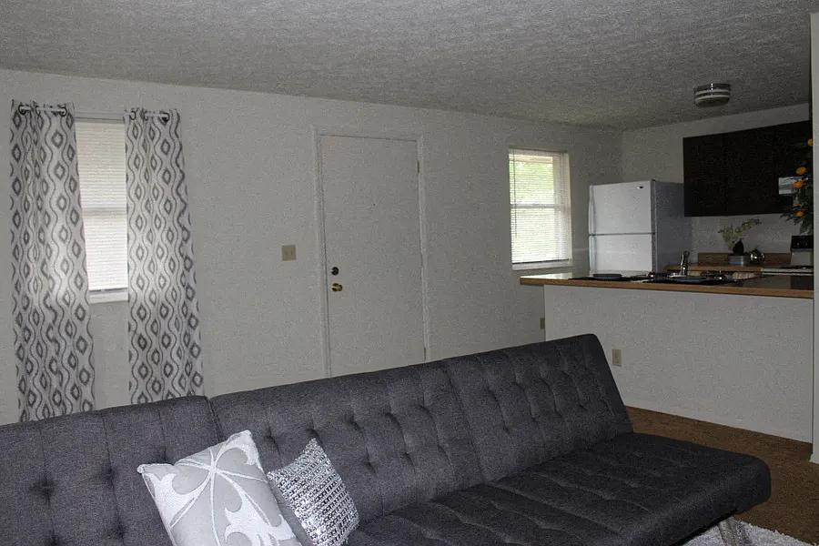8172 Mount Snow — Photo 4