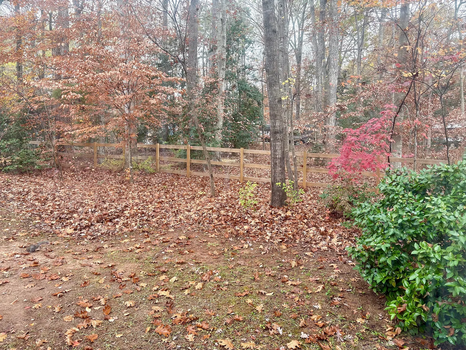 3 bed, 1600 sqft, $2,000 — Photo 3