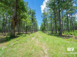 0 Hurricane Rd, Bay Minette, AL 36507