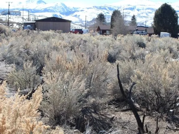 LOT 53 Highway 395, Bridgeport, CA 93517