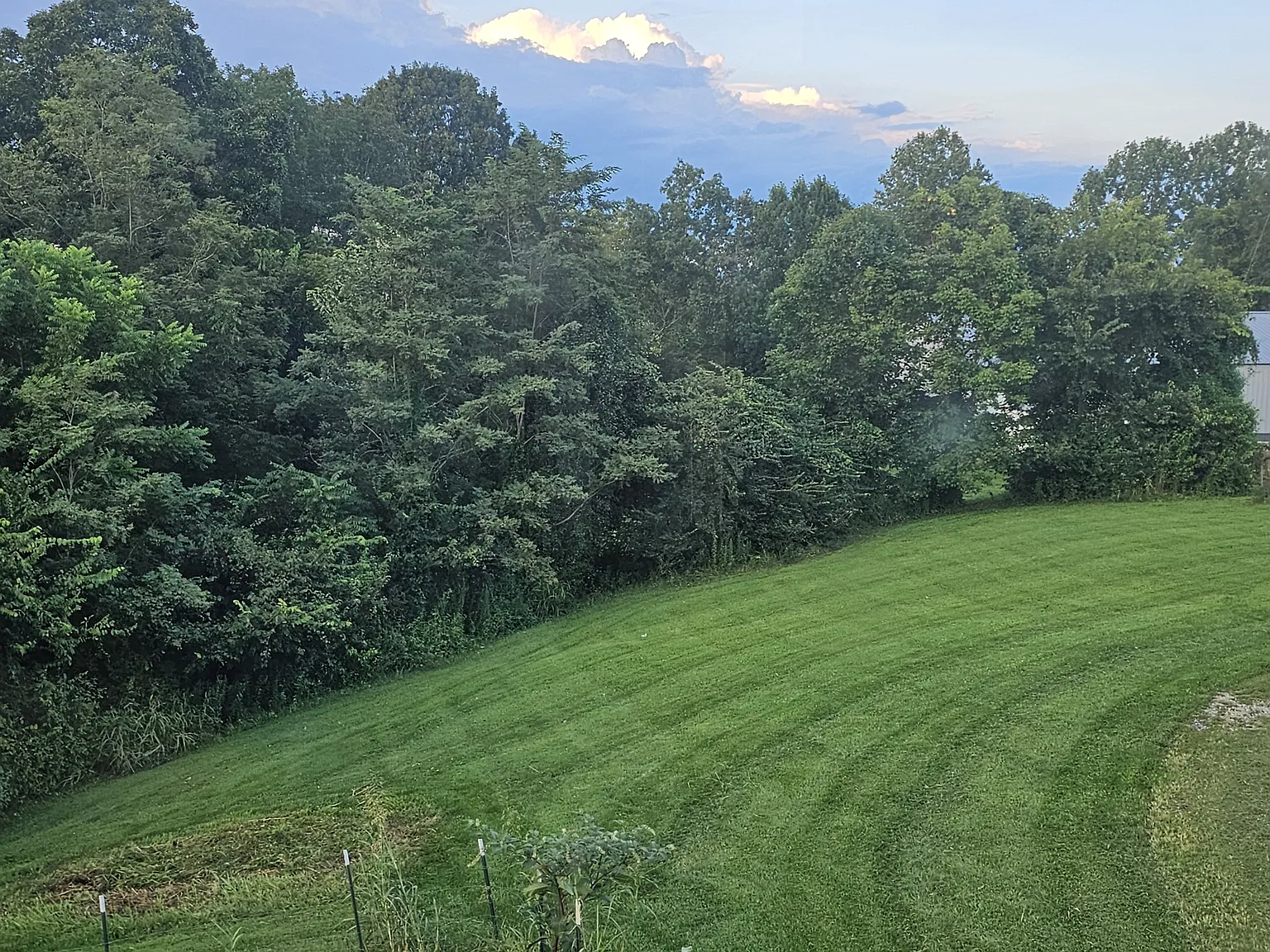 3 bed, 1250 sqft, $1,700 — Photo 3