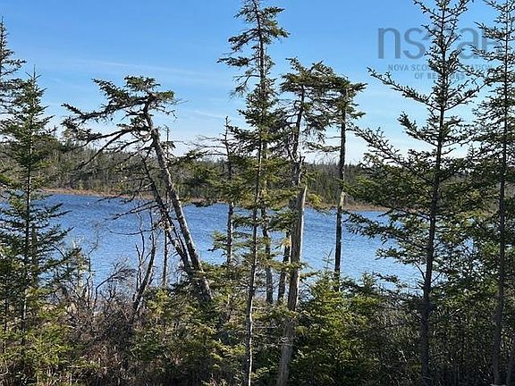 3rd image of Salmon River Rd