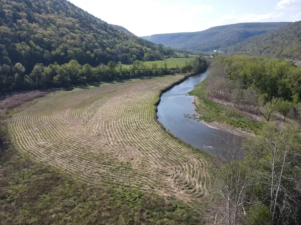 McChesney Rd Lot Wp003, Cameron, NY 14819