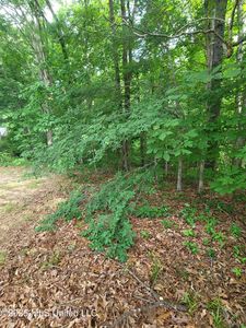 1476 Thunderbird Dr N Lot 440, Hernando, MS, 38632