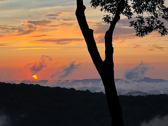 47th image of this home