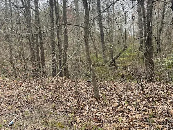 0 Ridge Rd, Cobbs Creek, VA 23035