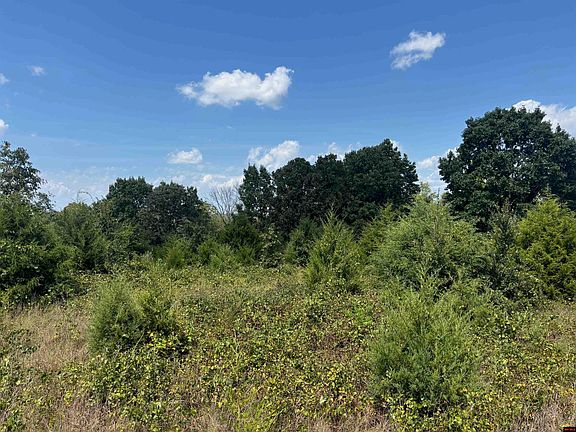 3rd image of TRACT 5 Little Woods Rd