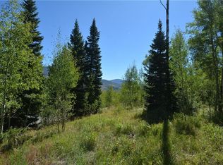 1445 Golden Eagle Rd, Silverthorne, CO 80498