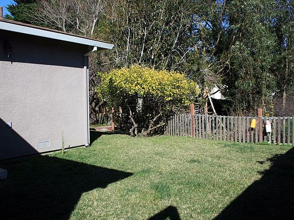 rear side yard with lemon tree