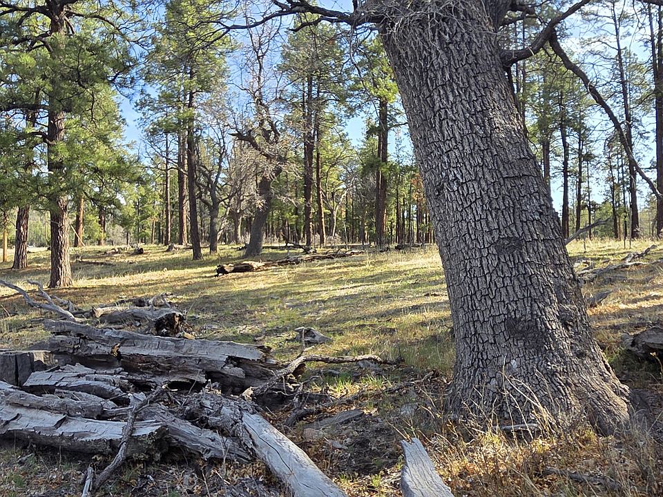 1st image of 124 County Road 2117
