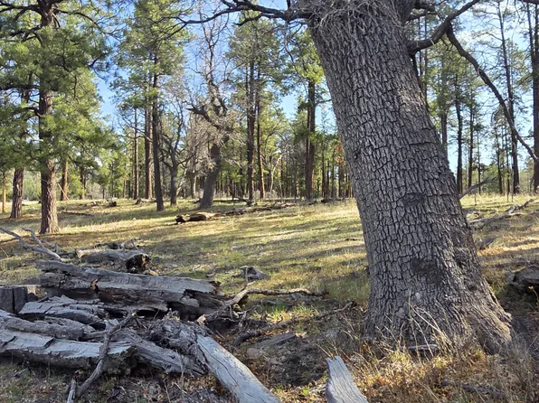 124 County Road 2117, Alpine, AZ 85920