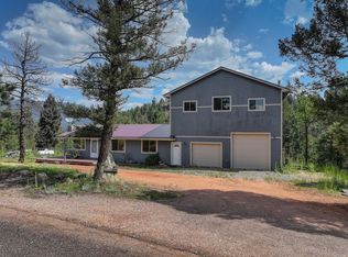 34203 Ponca Rd, Pine, CO 80470