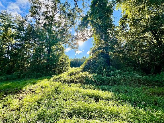 5th image of Saint Highway Acres #81-170