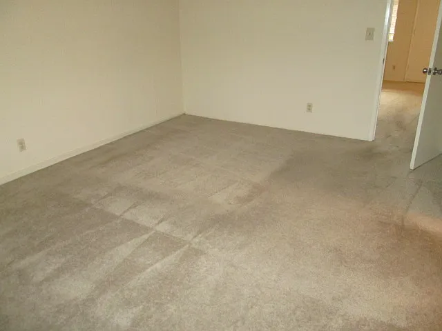 Pine Cone Apartments — Photo 4