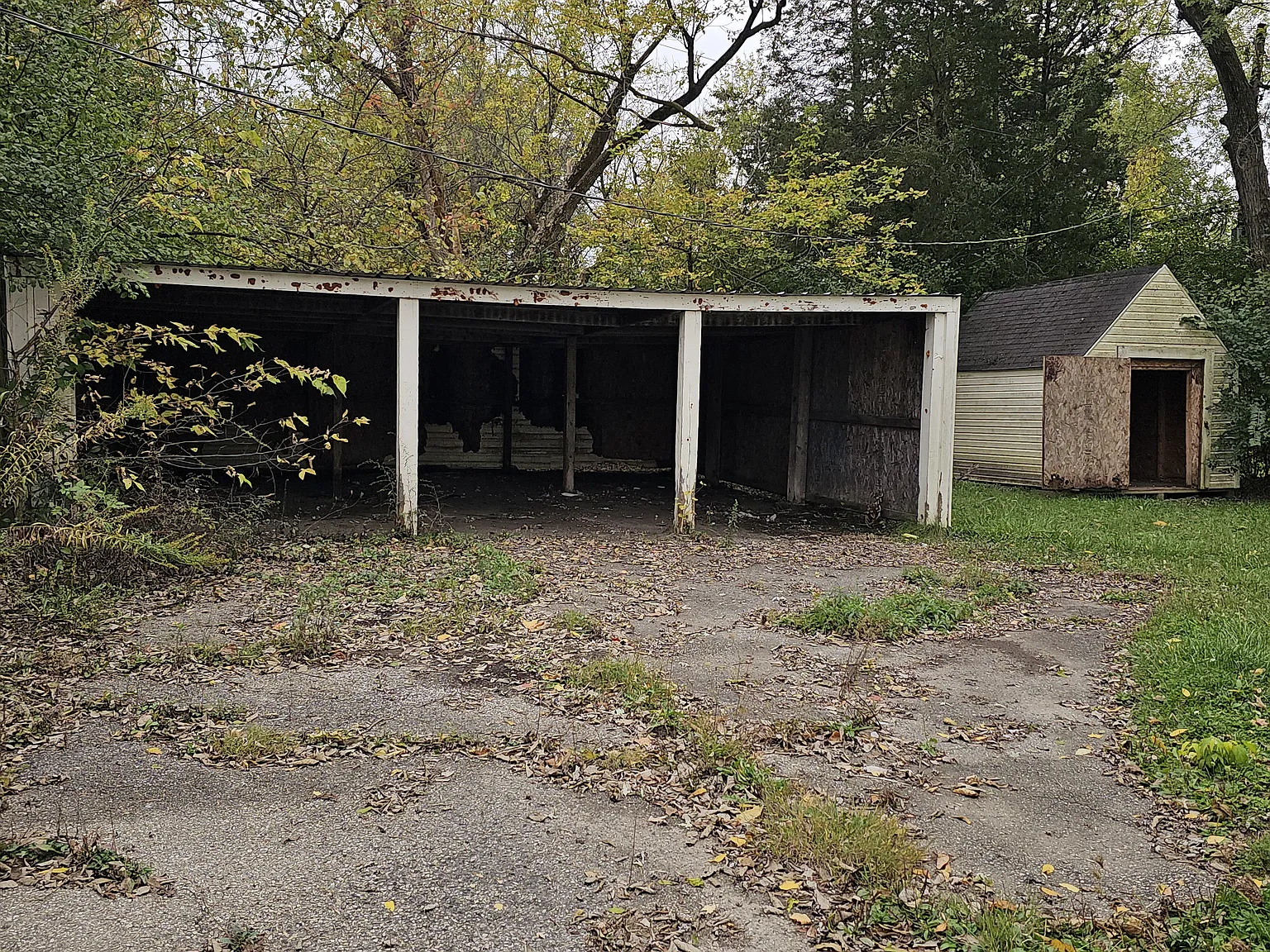 3 bed, 884 sqft, $1,000 — Photo 3