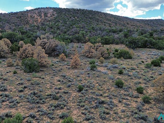 5th image of LOT One Nm 603 1