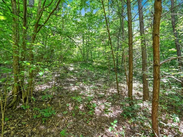 0 County Road 935, Cullman, AL 35058